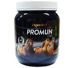 PROMUN EQUI 500GRS - EQUINO (LIVRE VENDA)