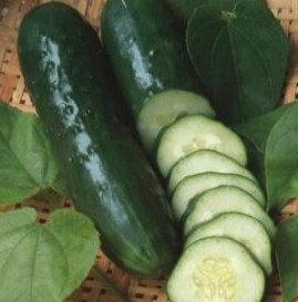 PEPINO VERDE COMPRIDO 100G