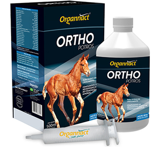 ORTHO POTROS 500ML -  LINHA EQUINO