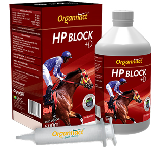 HP BLOCK + D 500ML - EQUINO (LIVRE VENDA)