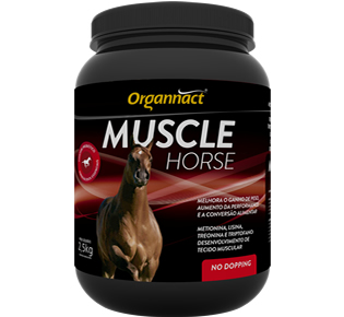 MUSCLE HORSE 2,5 KG - EQUINO (LIVRE VENDA)