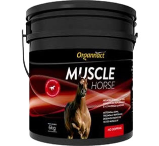 MUSCLE HORSE 6 KG - EQUINO (LIVRE VENDA)