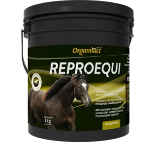 REPRO EQUI KG - EQUINO (LIVRE VENDA)