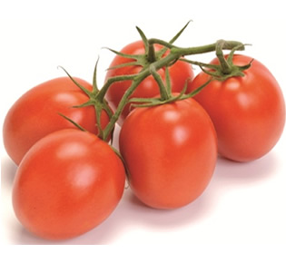 TOMATE FASCINIO HIB. F1 1.000 SEM. FELTRIN #