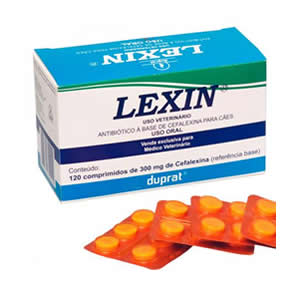 LEXIN 300MG CEFALEXINA (DISPLAY 120 COMP.)