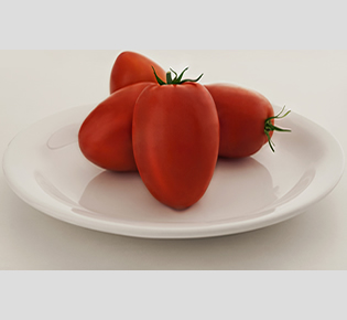 TOMATE VIVACY HIB. 1.000 SEM. FELTRIN